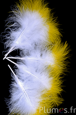 Plumet 3 plumes - hauteur 20 cm - blanc-jaune
